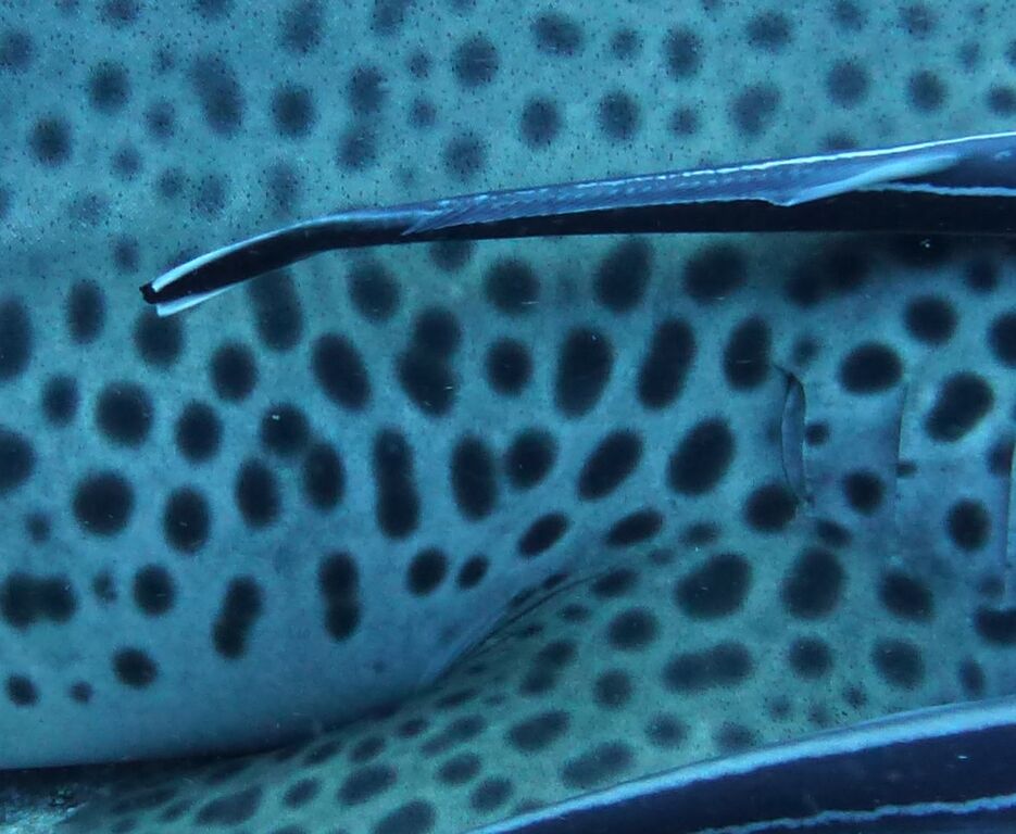 db921c29-7a44-4bcf-bb9d-d14dcf6e4e8f