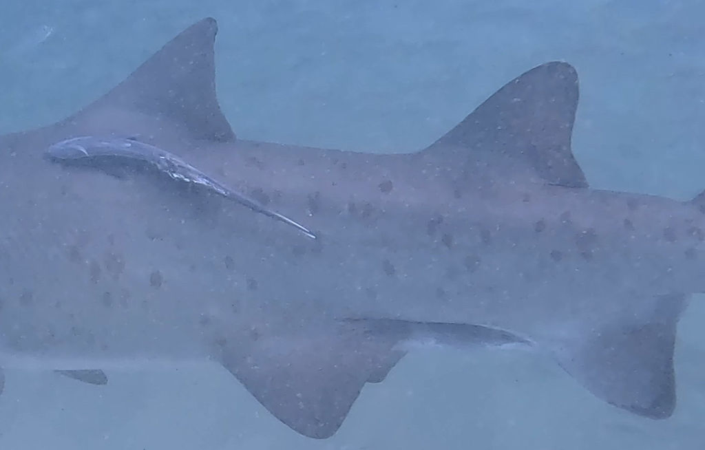 b63ee36d-c996-4fb8-9fc8-d7fea6bcdc0f