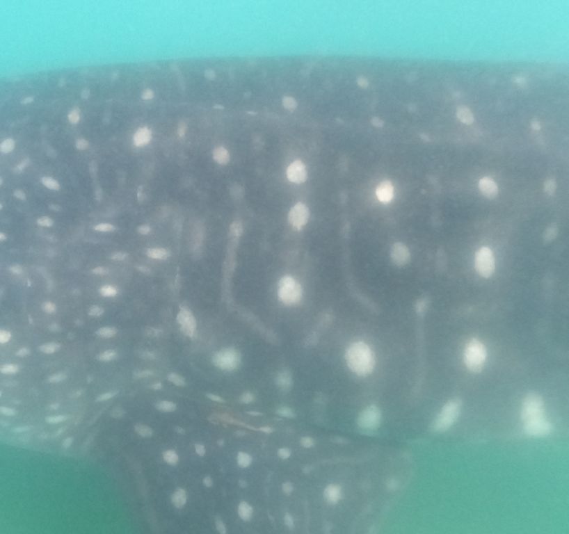 b51695fa-e345-4768-9aa6-0f66163988ed