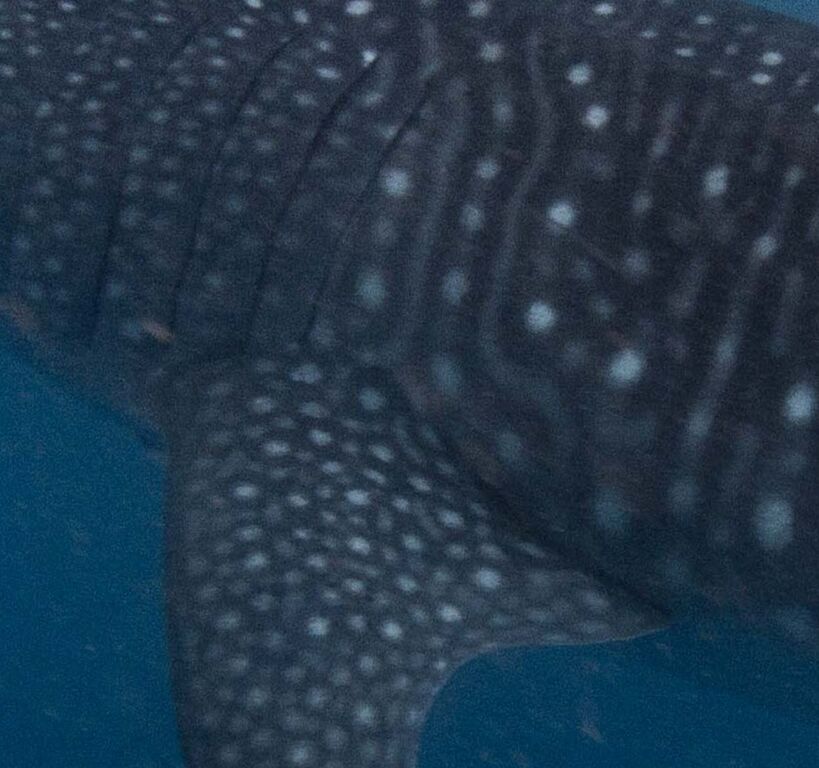 481ed261-8f45-4e7d-87ea-0a876ff5aaa5