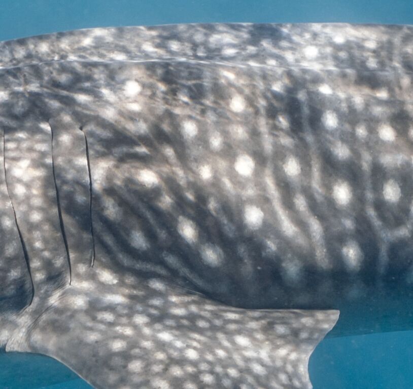 f84bdf5e-adc1-47f1-9cd7-3d33a0ca68d2