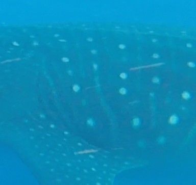 de59da5e-d37d-4e9f-847b-a71388e9ef9f