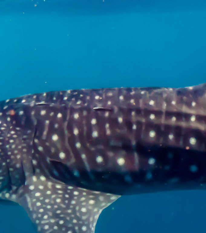 10fd1617-99db-4d24-97ee-7b6128ba52bb