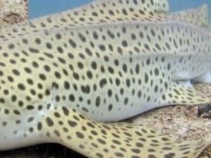 b9e2f1ca-9d2f-4e08-9aea-489edd2b4da6