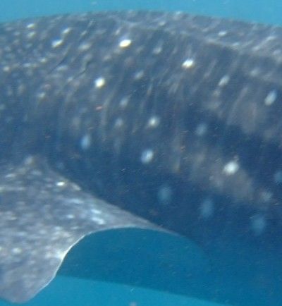 3dae038d-8f3d-4cf9-b6e4-3a473f14e11d