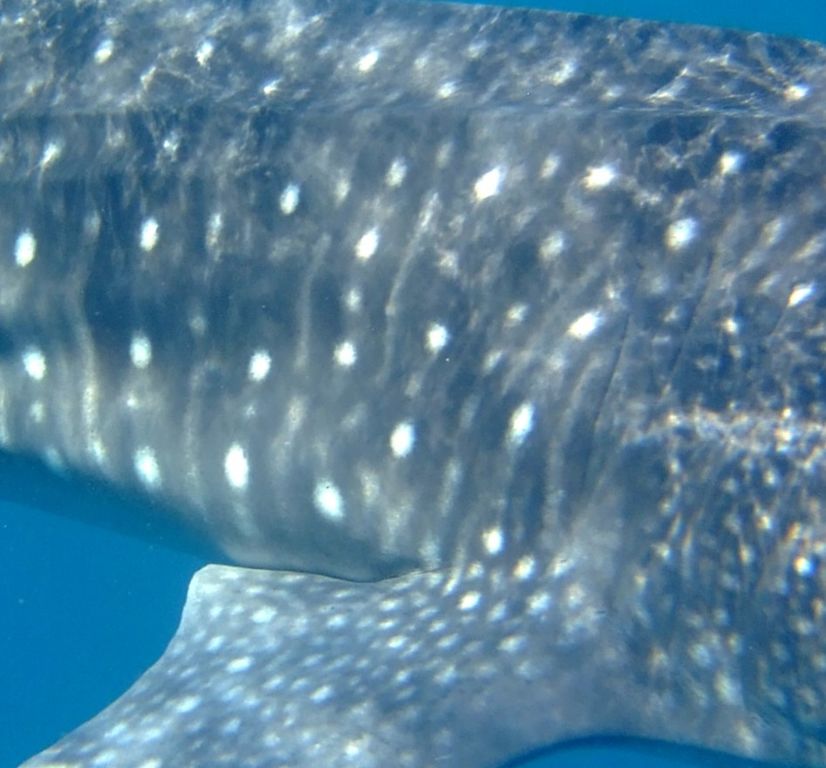 3dae038d-8f3d-4cf9-b6e4-3a473f14e11d