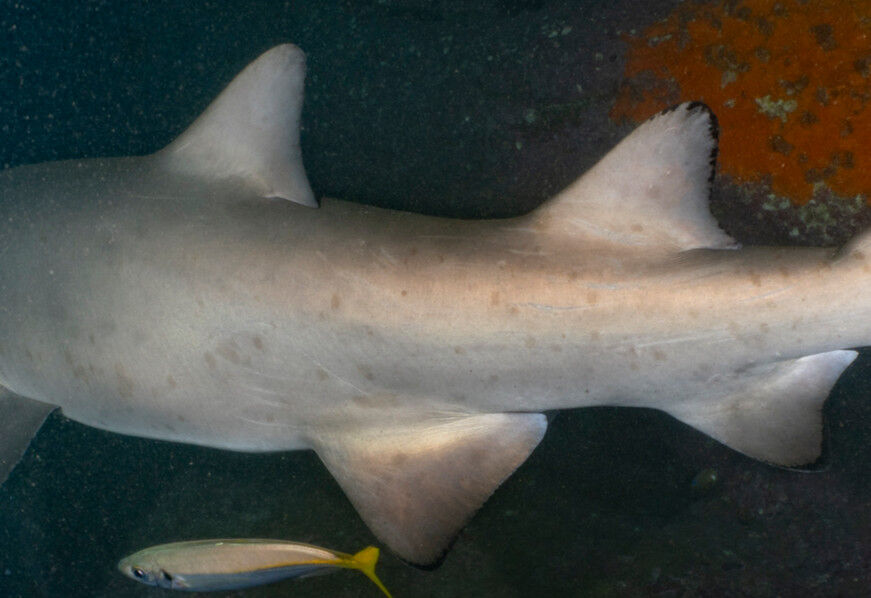 24f815b4-cbce-48ce-aa9e-787ce0173525