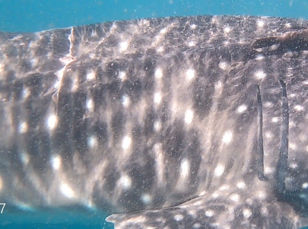 0bd62c40-b995-4120-99ad-15342ee298ac