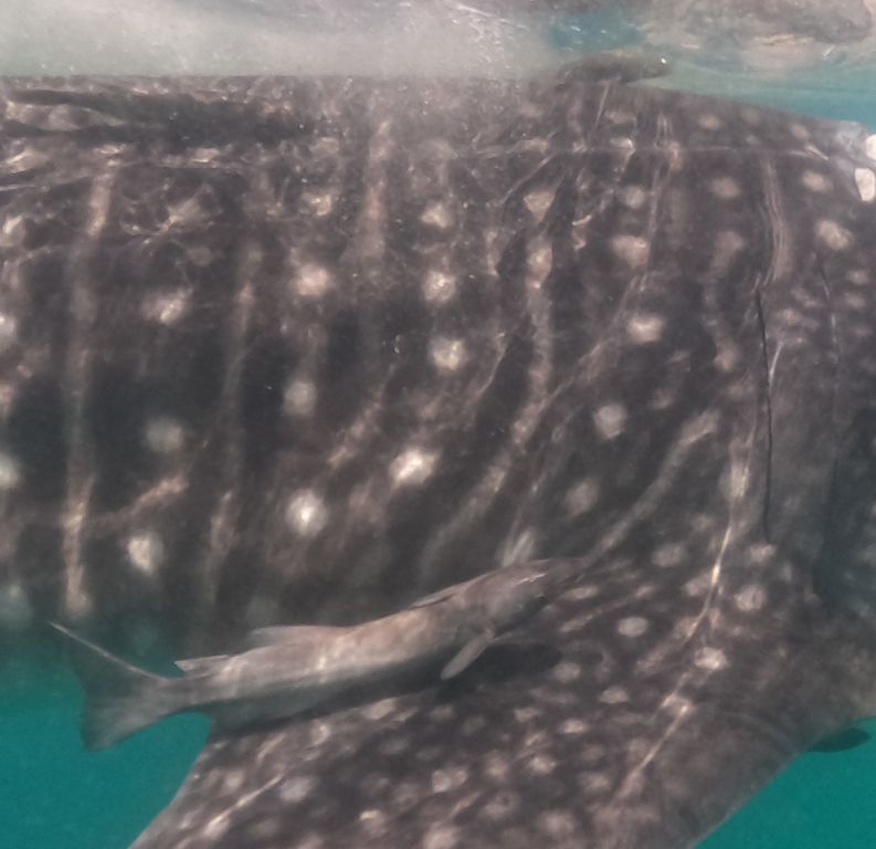 010db894-ffda-41f9-91e9-92b6b2687e29