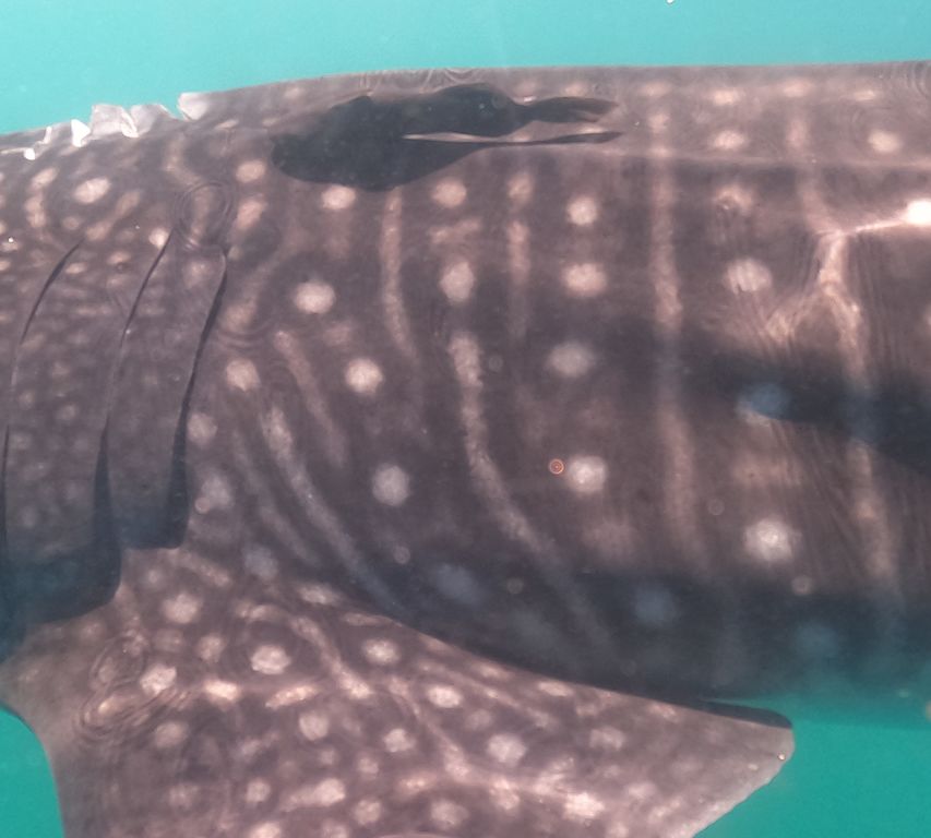 010db894-ffda-41f9-91e9-92b6b2687e29