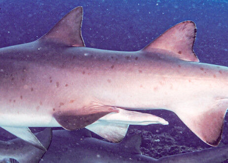 5a0e42fa-6ae7-409d-b247-869f81cd0699