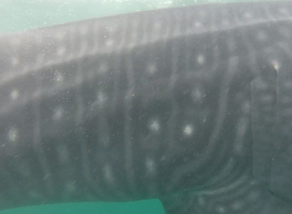 dbec40c9-72ce-4c5e-ade6-1051a951613f