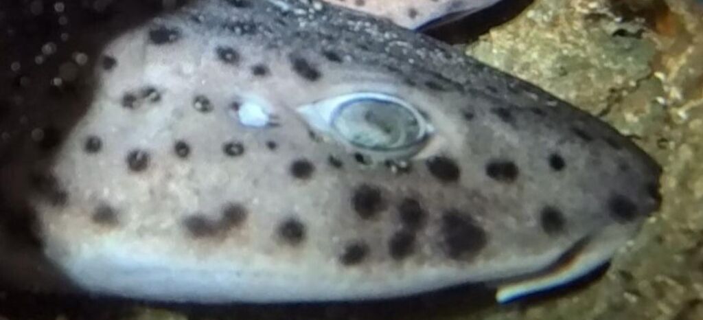 51f70797-b6e4-4b5e-944b-353a105df54e