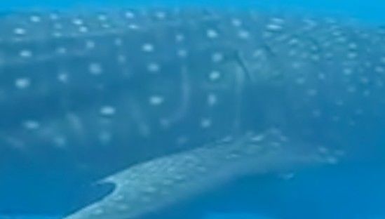 cd5f25ee-0f33-4a11-a78b-9f428e498134