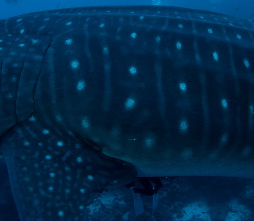 1e8c711f-87c7-428e-b403-517053672e45