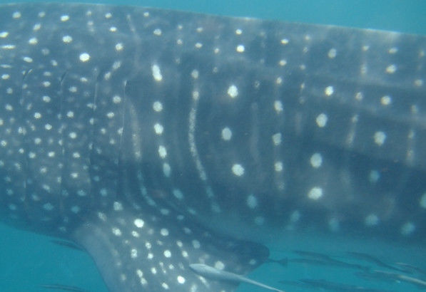 73f2a1d9-2b90-48a1-a208-99906ae47485