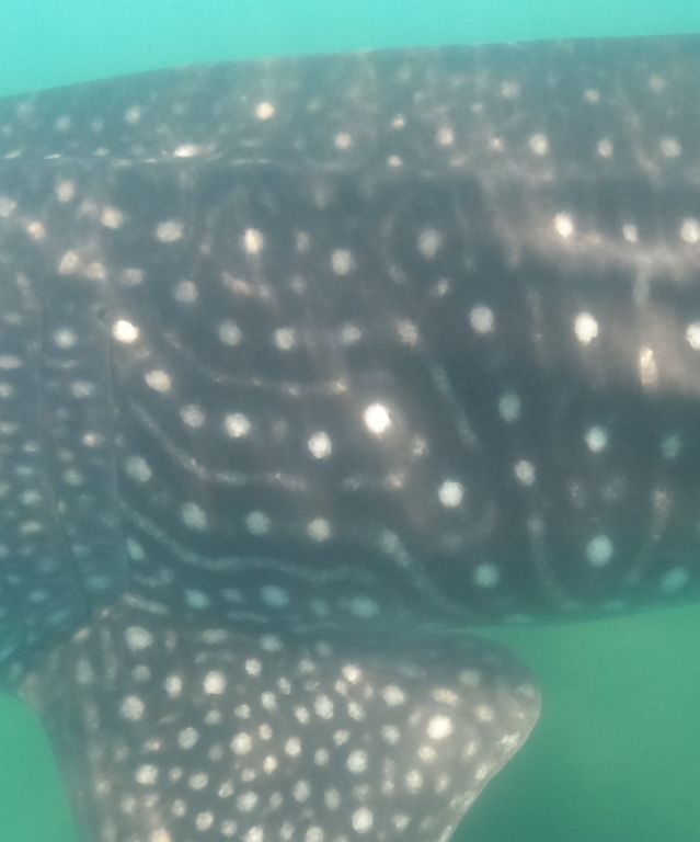 d2fc437e-423e-4fea-b7ef-5e7659a7ad6f