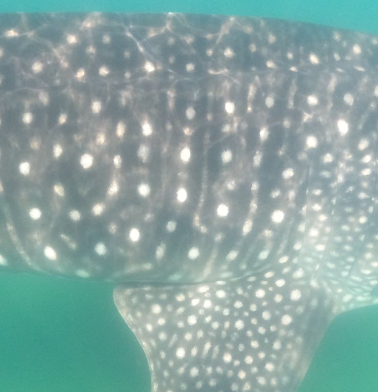 d2fc437e-423e-4fea-b7ef-5e7659a7ad6f