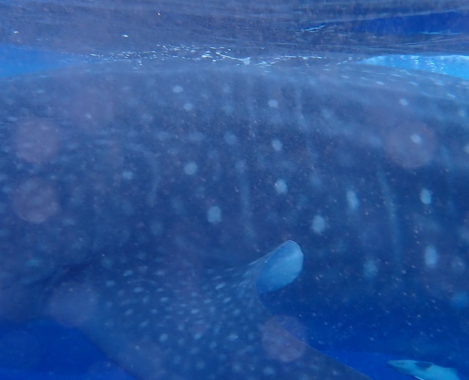 ae20f901-14f7-4360-bbab-6f76a7d200c0