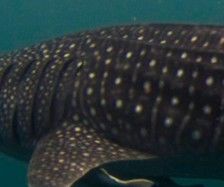 e634f77c-6c8b-49b7-9d7b-a1d9798ae9b7