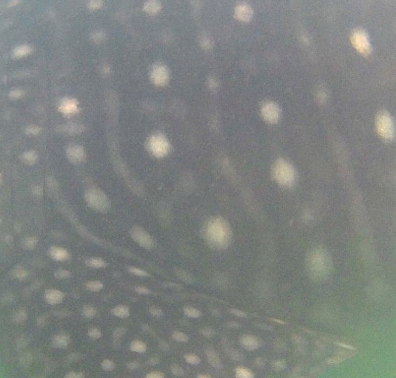 e11f09ef-f194-40f2-a66e-8aa1b26e6bda