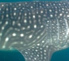 0cb76c92-4800-4c9e-b359-4288c8868e86