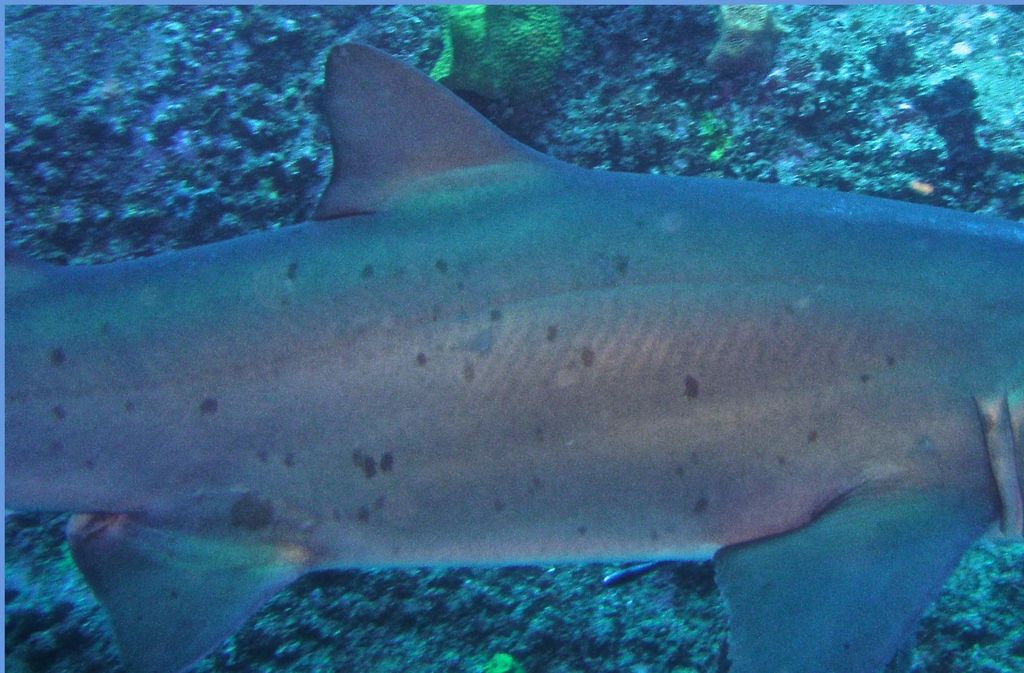 bbb66a80-e688-4262-bdfa-94292b8b0375