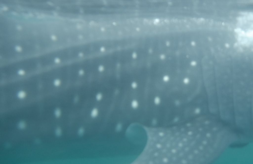 b2d36f71-8bf0-4e6d-89d5-b2f7492599e7