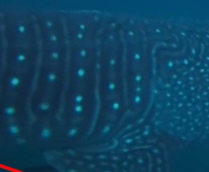 c0e39986-c107-4713-8ec8-d2d8b1c010d4