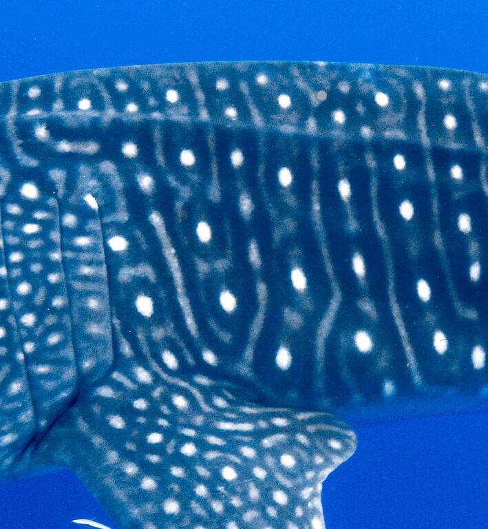 e124b722-8107-4f9a-85f5-c24ac6bcc27c