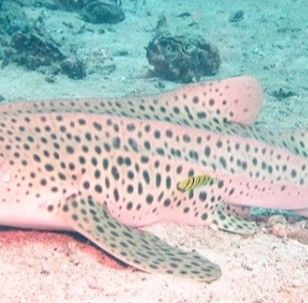 4224cb6a-2486-4383-83cd-88499248dfdf