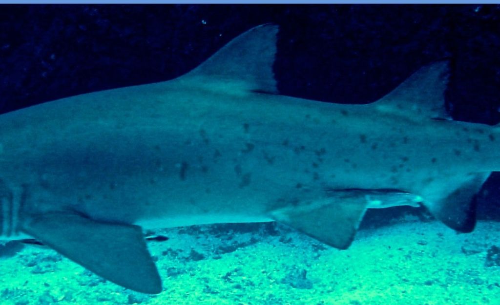 73c9b3f9-9a5e-433a-bf08-924417fb440b