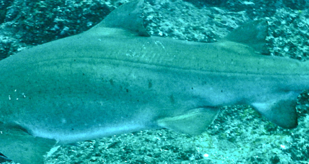 1a4f63b9-cf67-40a9-b413-6df1aebd7b8e