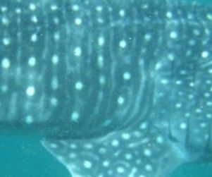 f444cd45-3494-46f7-835d-8a976e4fa2b3