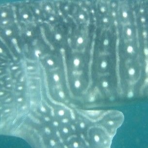 f444cd45-3494-46f7-835d-8a976e4fa2b3