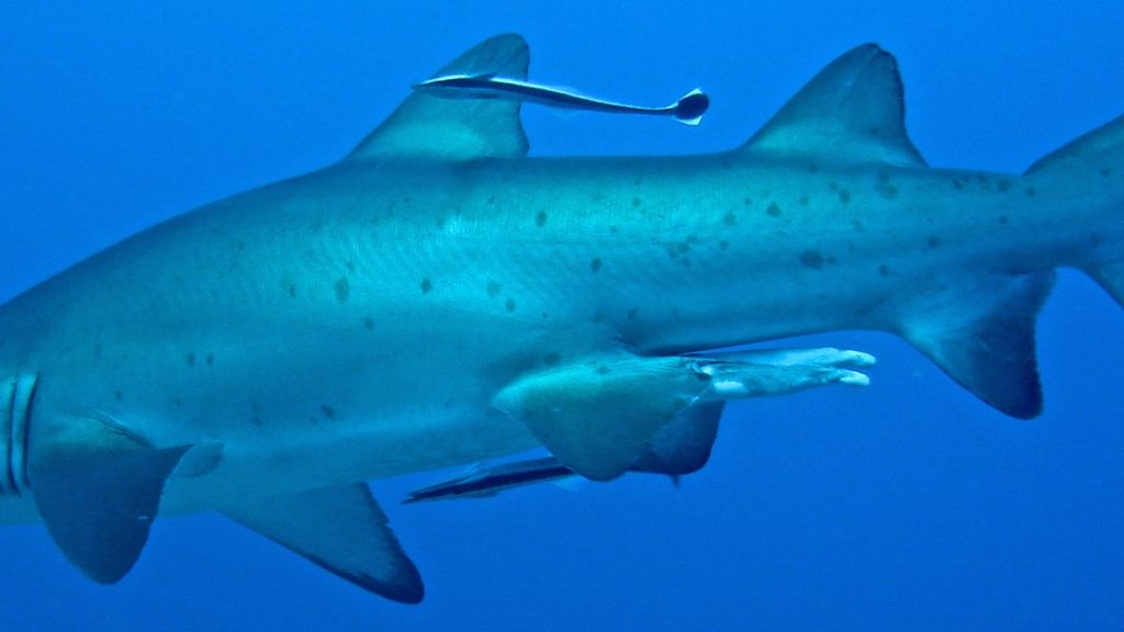 07c8ad79-04fe-4064-ac9c-b26aa5f380ce