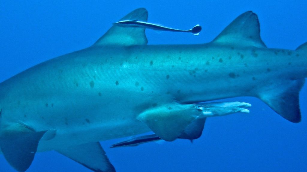 07c8ad79-04fe-4064-ac9c-b26aa5f380ce