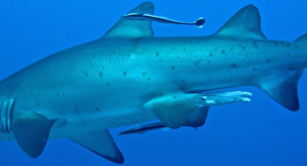 07c8ad79-04fe-4064-ac9c-b26aa5f380ce