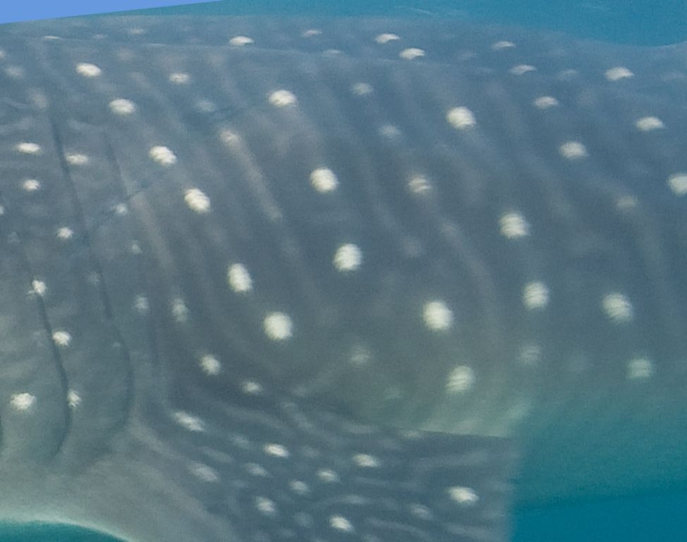 cff7e89e-5c9f-4ce6-b749-e9fa8f9f3a6b