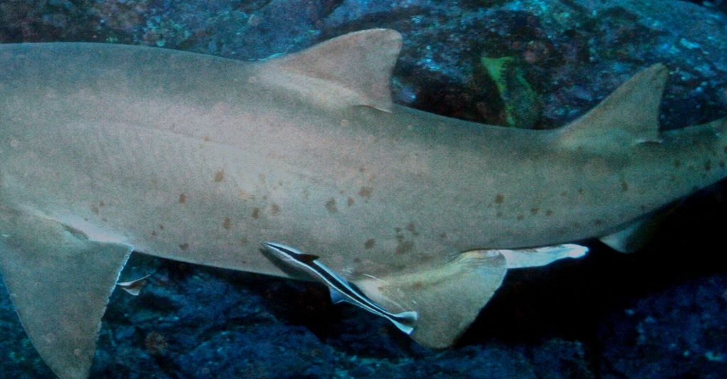 f13d2995-a8dc-4f3c-b090-3d370710d046