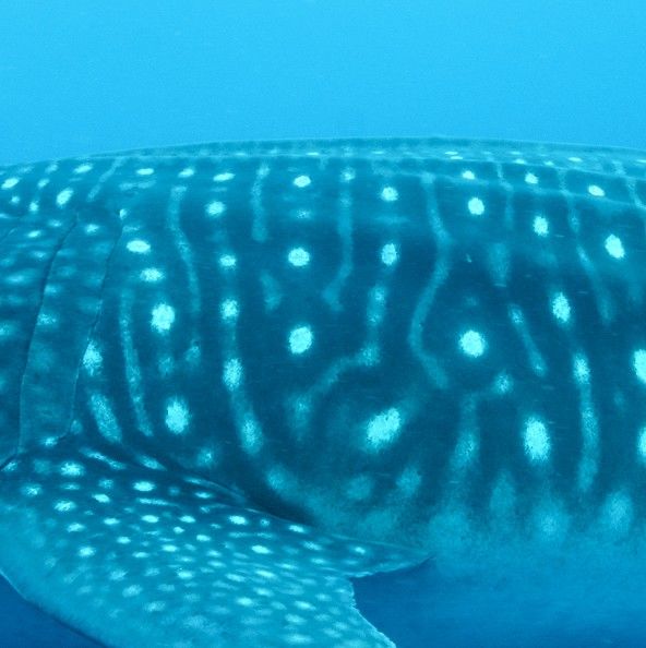 9dce4f17-8690-4cf4-82c4-2fbb535f5bc0