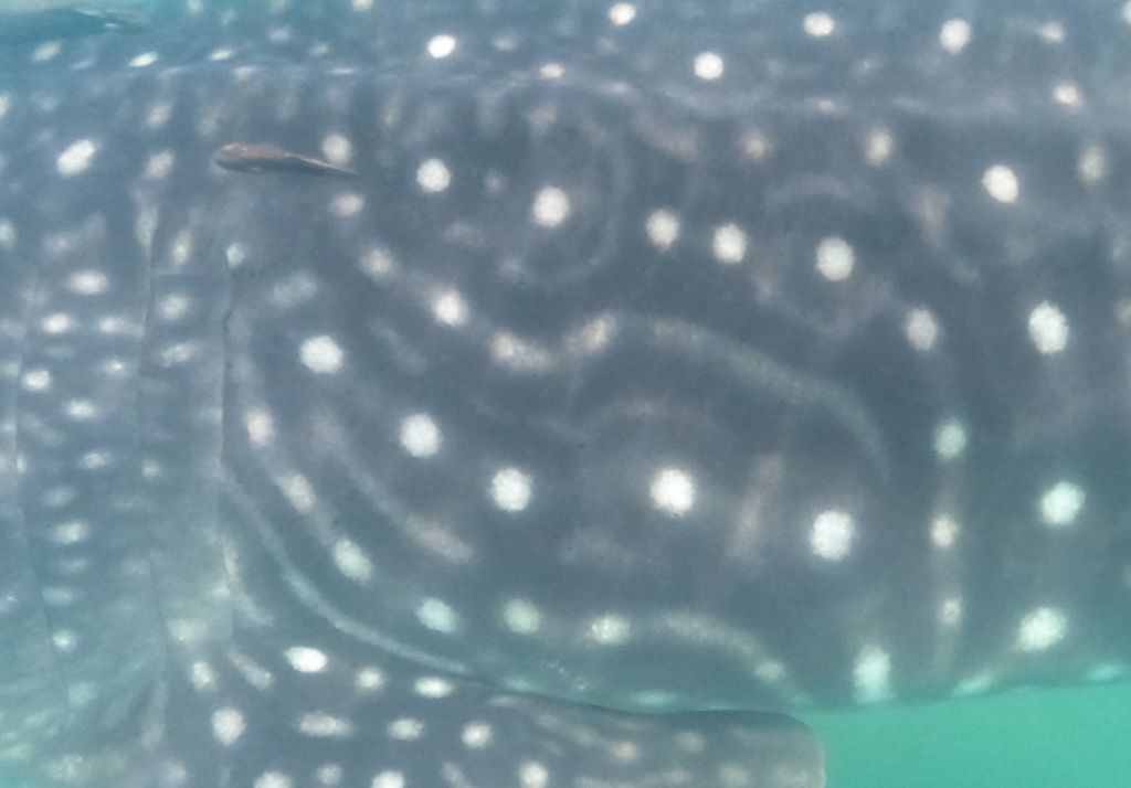 c8692b7e-818d-4517-8ee3-8959f7d76be1