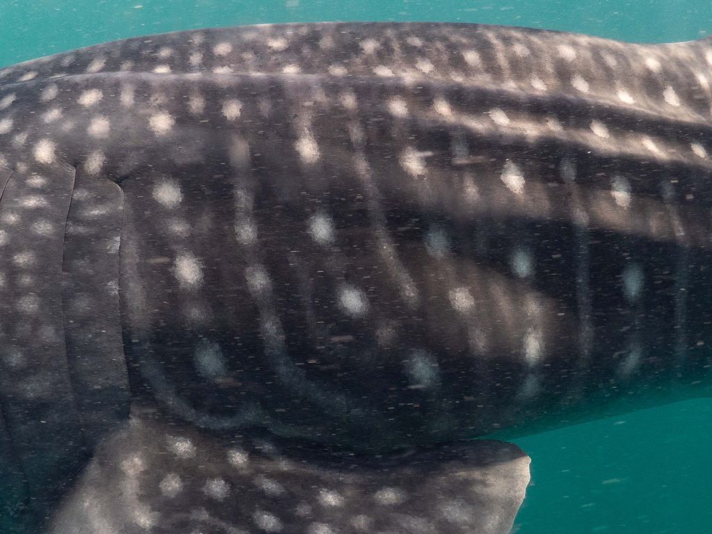 5cc20e7a-8b68-43f3-ab1c-8417579afd5b