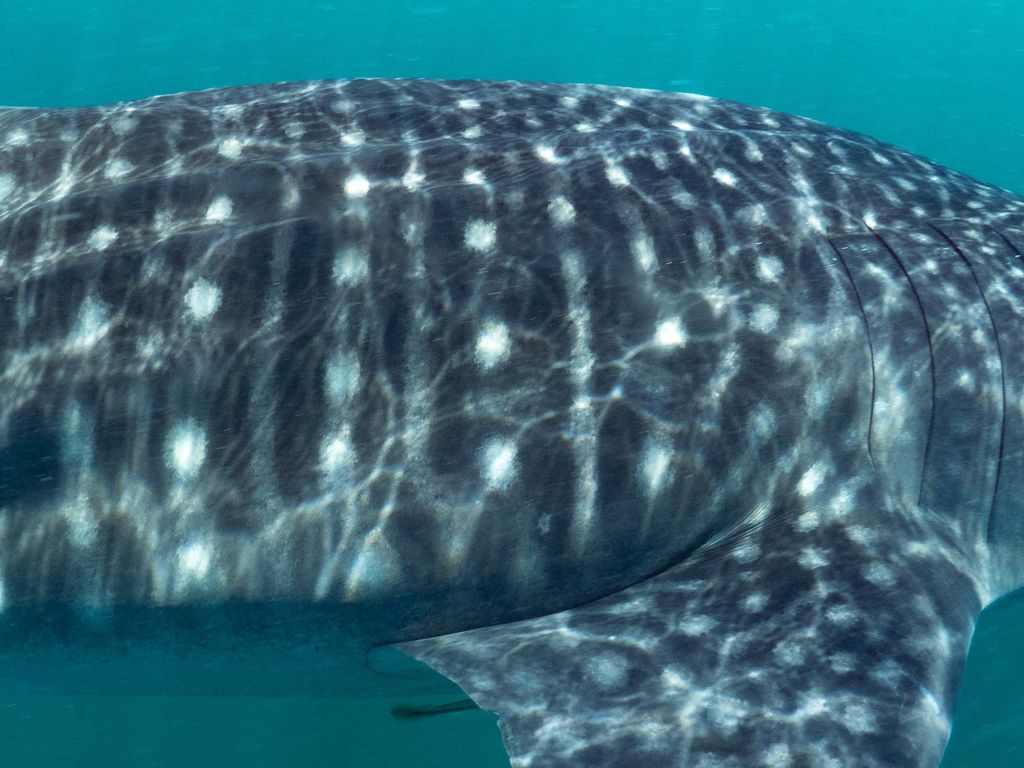 5cc20e7a-8b68-43f3-ab1c-8417579afd5b