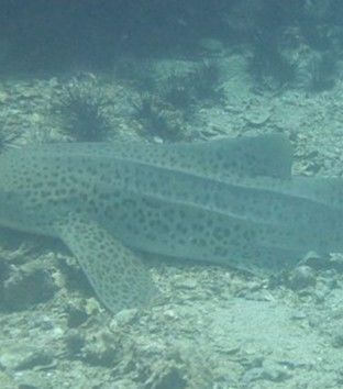 ef3b5125-2c5f-4b2e-b08a-6a2bf6a21cc2