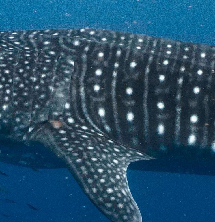 c0bc8950-382d-4fe3-b292-d2cbb8743a82