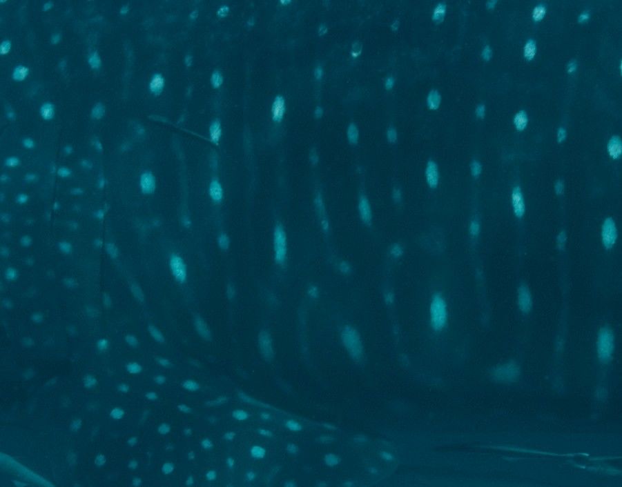 70ec9780-58b6-47bc-b966-56f5db43ac1d