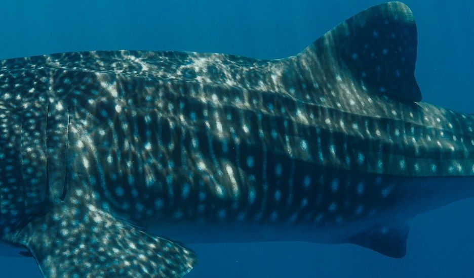 6e2c4c56-e085-4af0-8e42-756c1ed411ed