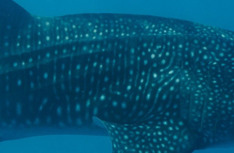 6e2c4c56-e085-4af0-8e42-756c1ed411ed