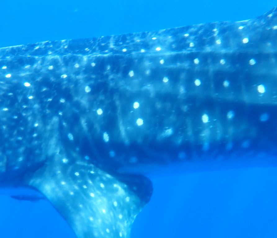 fe2d9470-e9e1-41fb-83c3-3e8b2a5e0038